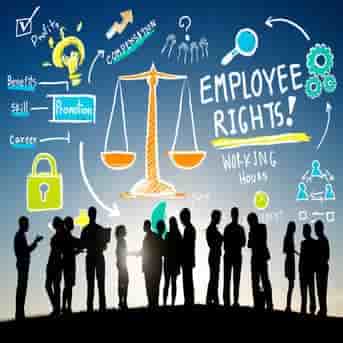 Employment Law 